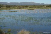 Estany Gran (Estanys dels Tòrlits) 7554 (*)
