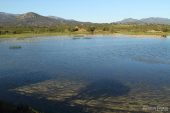 Estany Gran (Estanys dels Tòrlits) 7557 (*)