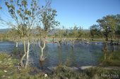 Estany Llampol 9110 (*)