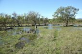 Estany Llampol 9124 (*)