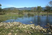 Estany Llampol 9127 (*)