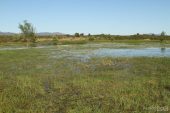 Estany Petit (Estanys dels Tòrlits) 7522 (*)