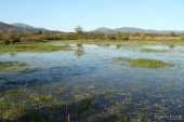 Estany Petit (Estanys dels Tòrlits) 7586 (*)