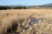 Estany Gros (Estanys de la Jonquera) 3200 (*)