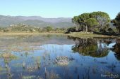 Estany Martí 3081 (*)
