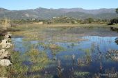 Estany Martí 3082 (*)