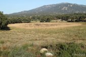Estany Petit (Estanys de la Jonquera) 3185 (*)