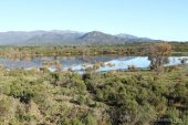 Estany Petit (Estanys dels Tòrlits) 3021 (*)