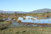 Estany Petit (Estanys dels Tòrlits) 3024 (*)