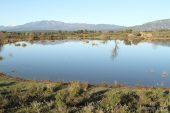 Estany Petit (Estanys dels Tòrlits) 3026 (*)