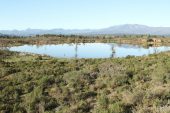 Estany Petit (Estanys dels Tòrlits)3034 (*)