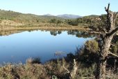 Estanyol de la Cardonera (Estanys de Gutina) 3122 (*)