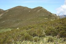 Las Lomas 2106 (*)